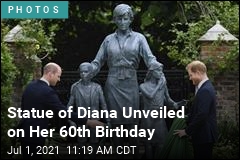 Harry, William Reunite for Statue of Diana
