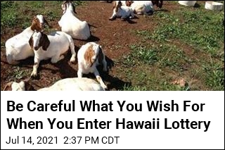 Hawaii Lottery Has a Very Unusual Prize