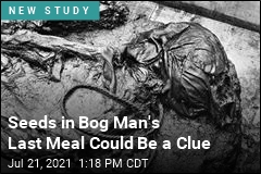 Seeds in Bog Man&#39;s Last Meal Could Be a Clue