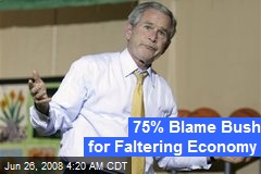 75% Blame Bush for Faltering Economy