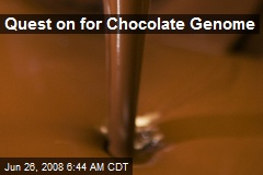 Quest on for Chocolate Genome