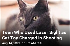 Teen Used Gun&#39;s Laser Sight as Cat Toy, Shoots Friend in Leg