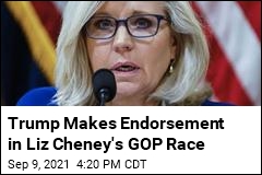 Cheney Answers Trump&#39;s Primary Opposition: &#39;Bring it&#39;