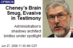 Cheney's Brain Smug, Evasive in Testimony