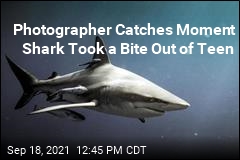 Photographer Catches Moment Shark Took a Bite Out of Teen