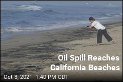 Oil Spill Kills Fish, Birds Off California Beaches