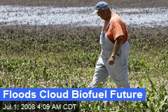 Floods Cloud Biofuel Future