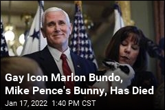 Gay Icon Marlon Bundo, Mike Pence&#39;s Bunny, Has Died