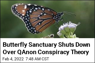 Butterfly Sanctuary Shuts Down Over QAnon Conspiracy Theory