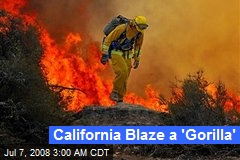 California Blaze a 'Gorilla'