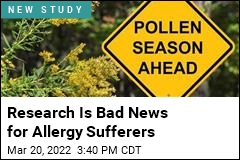 Study Predicts Longer, Stronger Pollen Season, Forever
