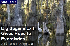Big Sugar's Exit Gives Hope to Everglades