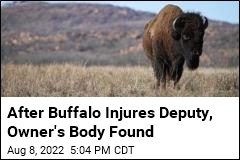 Owner Found Dead After Buffalo Injures Deputy