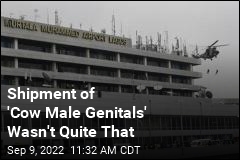Shipment of &#39;Cow Male Genitals&#39; Wasn&#39;t Quite That
