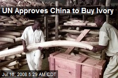 UN Approves China to Buy Ivory