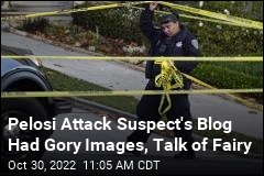 Pelosi Attack Suspect&#39;s Blog Had Gory Images, Talk of a Fairy