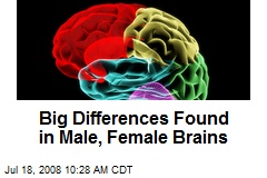 Big Differences Found in Male, Female Brains