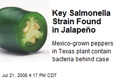 Key Salmonella Strain Found in Jalape&ntilde;o