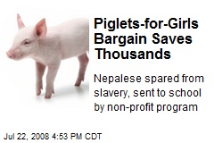 Piglets-for-Girls Bargain Saves Thousands