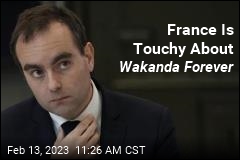 French Official Is Ticked About Wakanda Forever