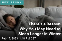 Longing for More Sleep in the Winter? Blame REM