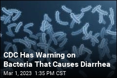 CDC Has Warning on Bacteria That Causes Diarrhea