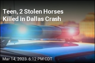 Teen, 2 Stolen Horses Killed in Dallas Crash