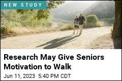 Walking Improves Memory in Older Adults