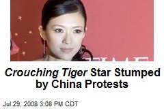 Crouching Tiger Star Stumped by China Protests