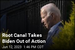 Root Canal Takes Biden Out of Action