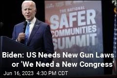 Biden: US Needs New Gun Laws or &#39;We Need a New Congress&#39;