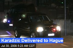 Karadzic Delivered to Hague