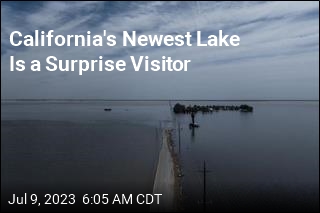California&#39;s Newest Lake Is a Surprise Visitor