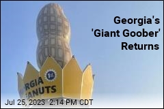 Georgia&#39;s &#39;Big Peanut&#39; Returns
