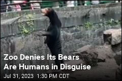 Zoo Denies Its Bears Are Humans in Disguise