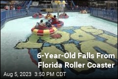 Boy Suffers Traumatic Injuries in Fall From Roller Coaster
