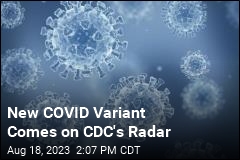 New COVID Variant Comes on CDC&#39;s Radar