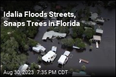 Idalia Floods Streets, Snaps Trees in Florida