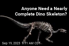 Anyone Need a Nearly Complete Dino Skeleton?