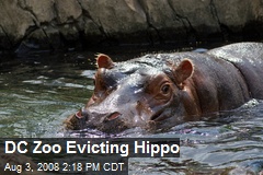 DC Zoo Evicting Hippo
