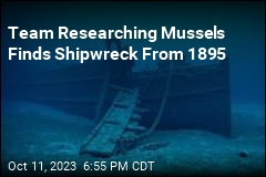 They Were Making Film on Mussels, Found 1895 Shipwreck