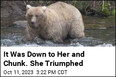 A Formidable Female Wins Fat Bear Week