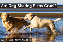 Are Dog-Sharing Plans Cruel?