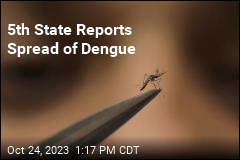 5th State Reports Spread of Dengue