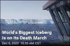 World&#39;s Biggest Iceberg Is on Its Death March