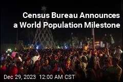World Population Tops 8B: Census Bureau