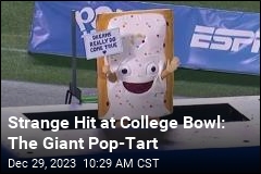 Who Won the Pop-Tarts Bowl? The Giant Pop-Tart, Obviously