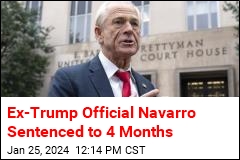 Ex-Trump Official Navarro Sentenced to 4 Months