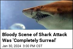 Shark Attack Was &#39;Like Worst Horror Movie You&#39;ve Ever Seen&#39;