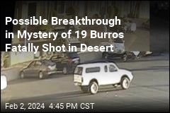 Possible Breakthrough in Mystery of 19 Burros Fatally Shot in Desert